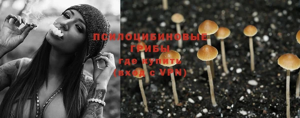 эйфоретик Лабытнанги