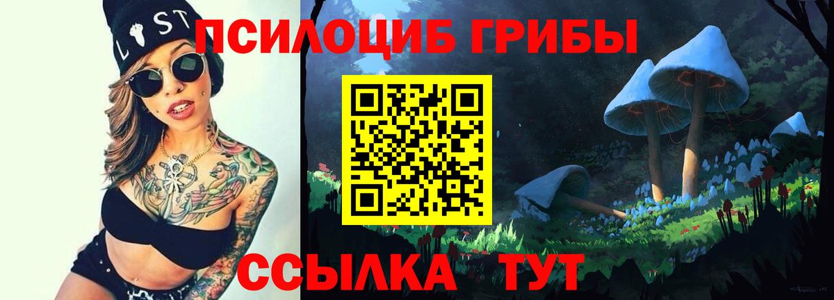 Мирный  Галлюциногенные грибы Magic Shrooms  Вход с VPN 